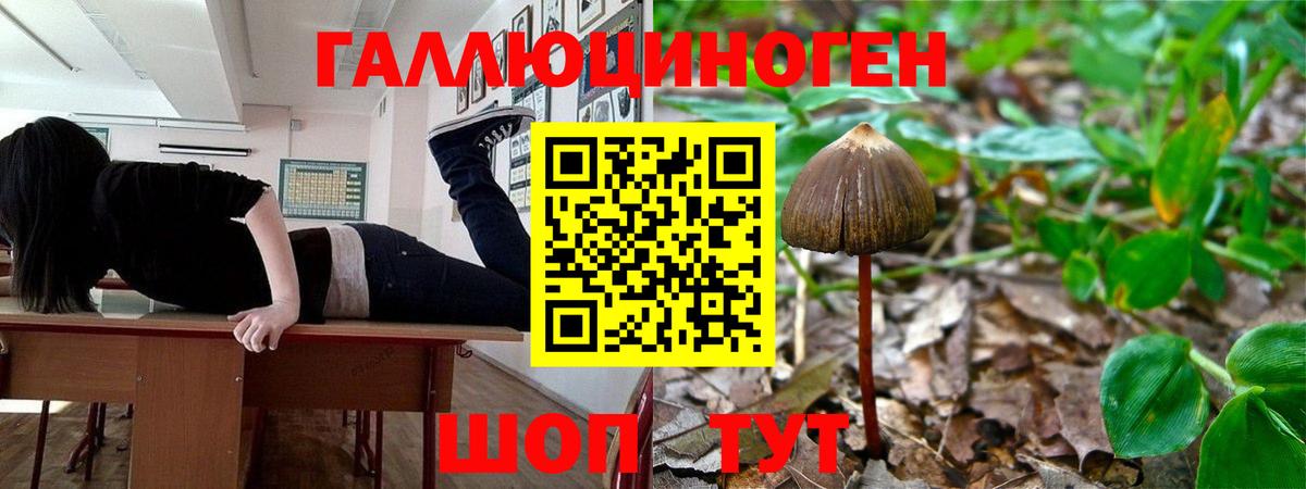 Псилоцибиновые грибы MAGIC MUSHROOMS  Вход с VPN  Кропоткин 